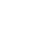 Nesian Nation